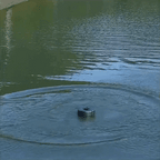 Type Pond Fountain