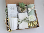 Geode Green Succulent Gift Box